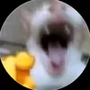 nhtdark