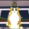 beniiii055