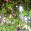 shahab.khan843