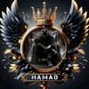 hamadali78668