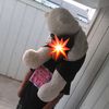 sophiesbackup_r.i.p