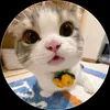 username_209.1