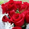 shama.qayyum
