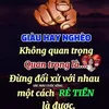 nguyenthanhson62n1