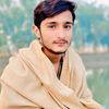 malik.shahmeer705