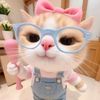 whybby17_