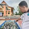 .mardinalsembiring