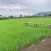 thoi.nguyn112