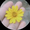 nan.su.wai213