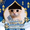 abd.jalil3584