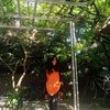 qinanda2