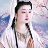 kydieu2368