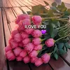 shlk_shewa