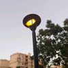 wisal.elias