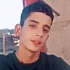 al_..13