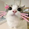 mambaun_nur
