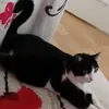veronique.hubert89