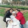 touhamaf213