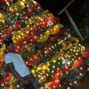 erling.lemus5