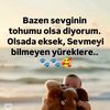 bozgurd1098595