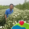 duc.pham218