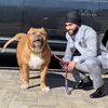 Harnoor Gill | Your Realtor