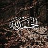 user451161523
