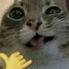 izabela.correia.me