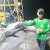 tnhthuy33