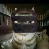 user1402510027611