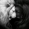 adam.maais8