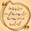 syedfazanshah88