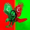 naseemsaheen0