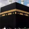begano_officijal482