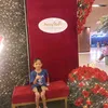 maccoy.sario7