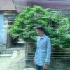 md.roky378