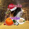 morska_svinka5