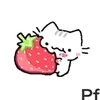 berrymdt