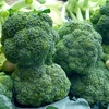 sayurbrocoli22