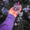 rima.rammusch