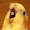 a_aa_aam