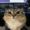 xz_xz331