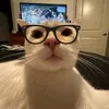 nikamae72