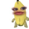 wirdyaaryadefa