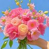 user1245name3