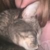 cynthia_sandgren
