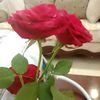ashak4867