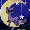catnap09092024