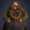 huhnkieleefanaccount