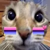 0cookiebara0